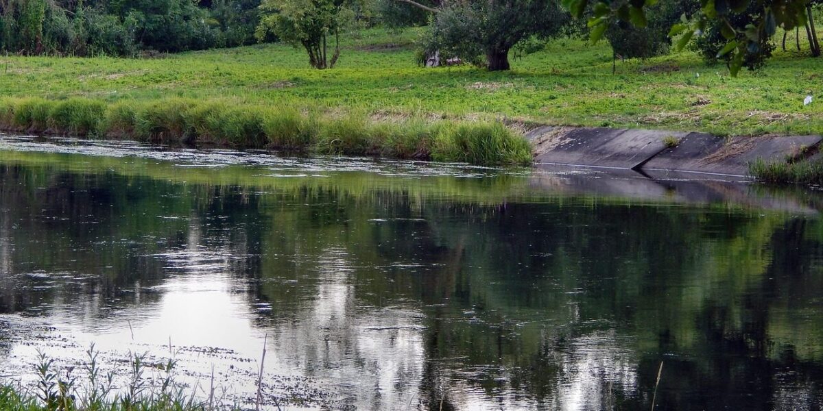 river, water, landscape, the gwda river