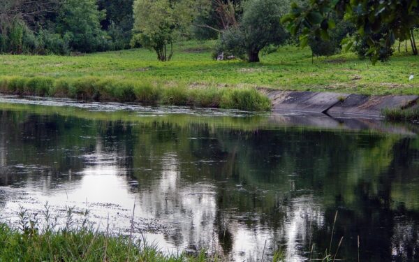 river, water, landscape, the gwda river