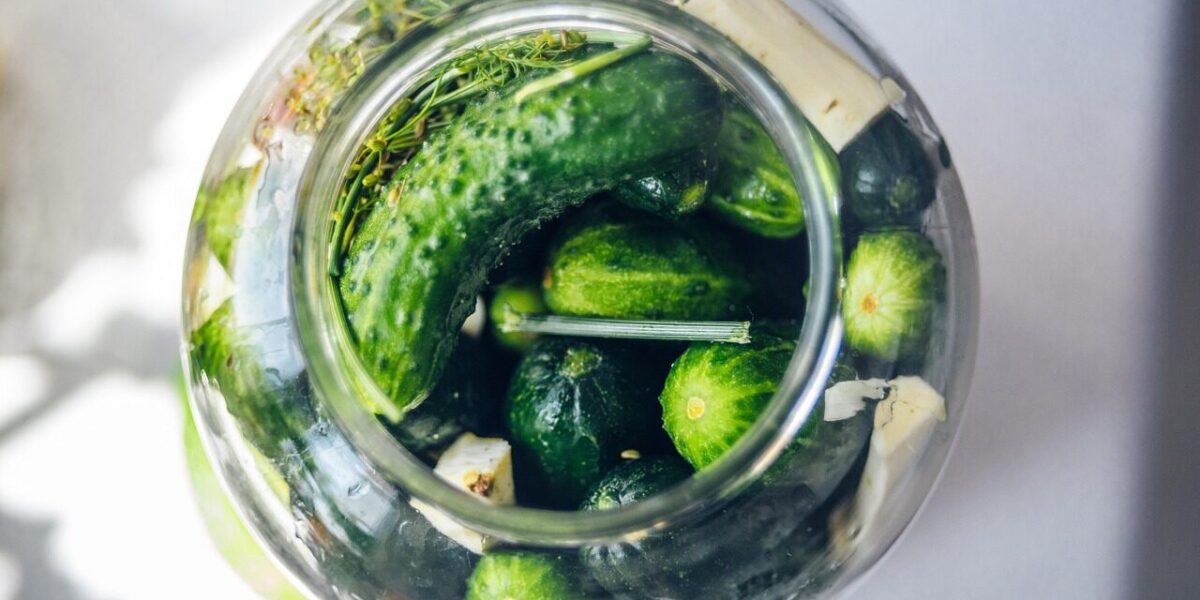 pickled cucumbers, silage, cucumber, cucumber green, cucumbers in a jar, organic cucumbers, cucumbers with horseradish, dill, jar, snack, vegetables, cucumbers, vitamins, closeup, food, fresh, bokeh, healthy, organic, diet