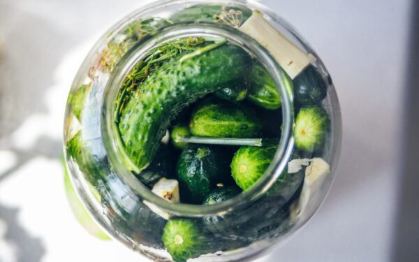 pickled cucumbers, silage, cucumber, cucumber green, cucumbers in a jar, organic cucumbers, cucumbers with horseradish, dill, jar, snack, vegetables, cucumbers, vitamins, closeup, food, fresh, bokeh, healthy, organic, diet