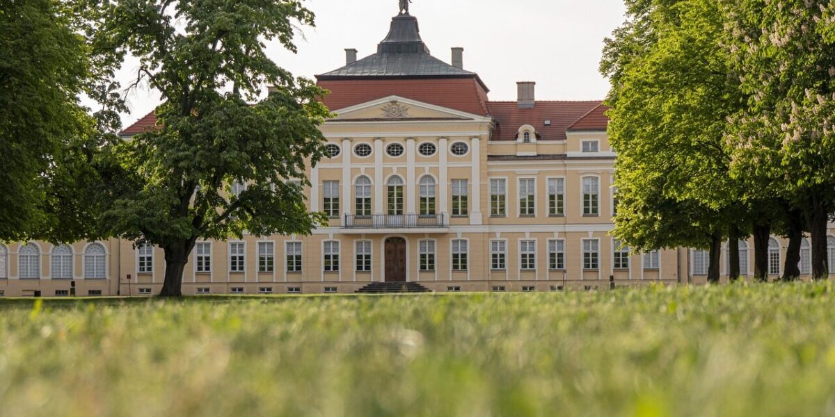 the palace, croissant, raczynski, poznan, garden, park, landscape, nature, architecture, tourism, leaves, green, panorama, sculptures, culture, monument