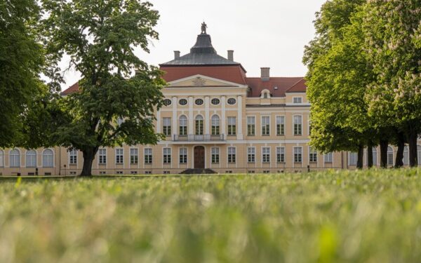 the palace, croissant, raczynski, poznan, garden, park, landscape, nature, architecture, tourism, leaves, green, panorama, sculptures, culture, monument